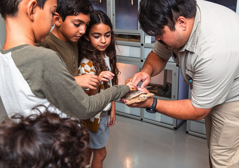 Families who visit San Diego Zoo’s Denny Sanford Wildlife Explorers 
Basecamp are invited to interact, explore, investigate, climb, and scramble through a variety of exciting exhibits as they learn about wildlife